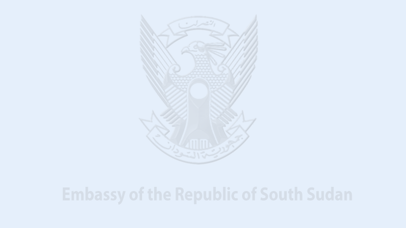 embassy place holder